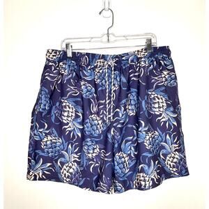 Brooks Brothers Men's Pineapple Print Swim Trunks XL Blue Beige Preppy Beach